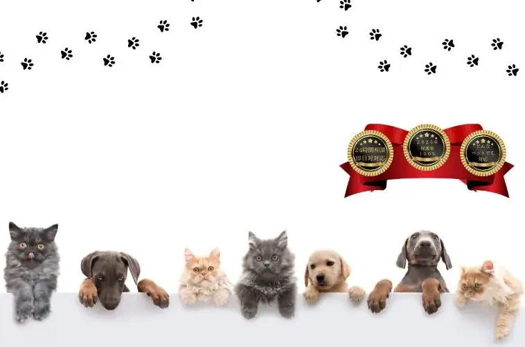 ペット捜索について